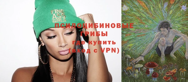 таблы Шадринск