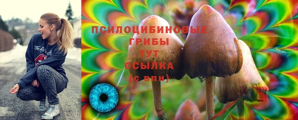 амфетамин Болотное