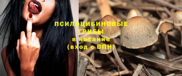 СК Шарыпово